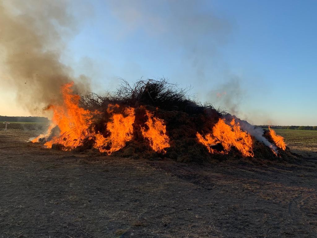 Osterfeuer 2019